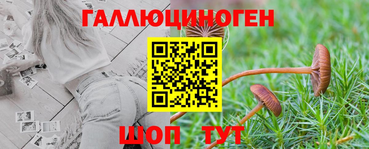 дарнет шоп  Псилоцибиновые грибы Psilocybine cubensis  Галлюциногенные грибы Psilocybine cubensis  Вход с VPN  Донецк 